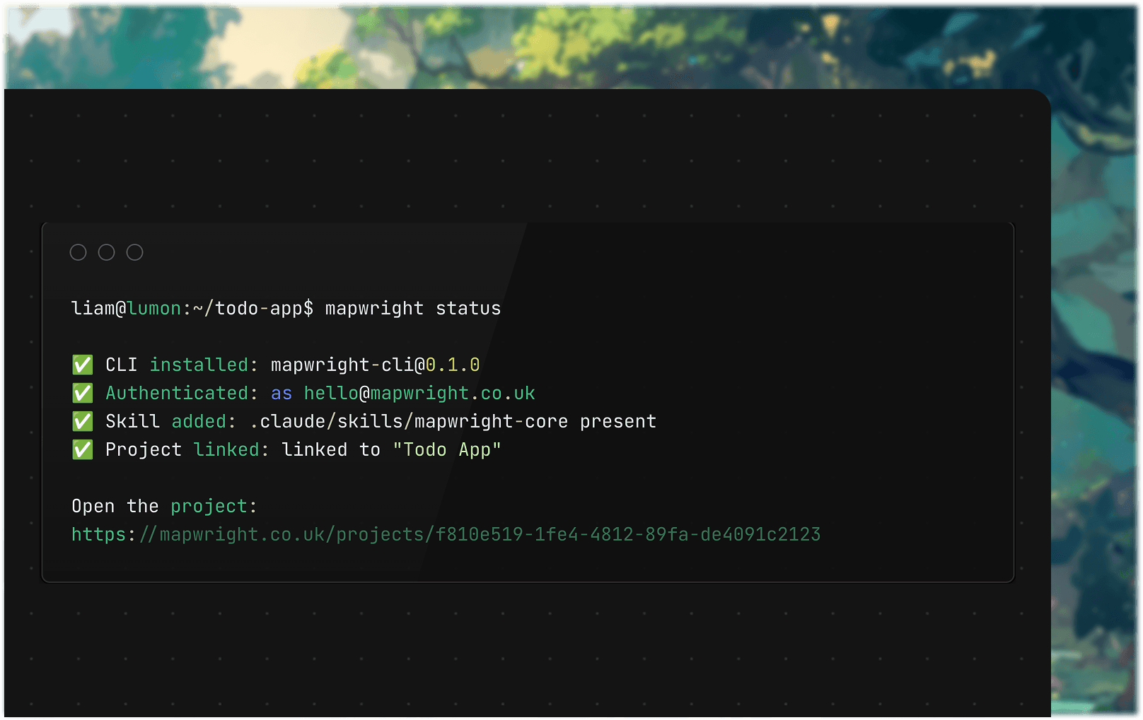 The Mapwright CLI connected to a project in a terminal